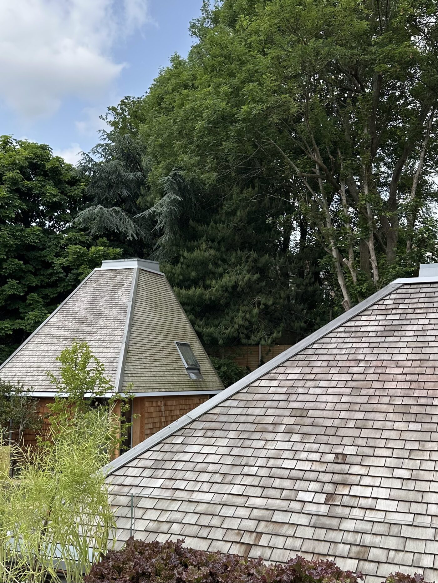 MSA Omved Gardens 11. jpeg