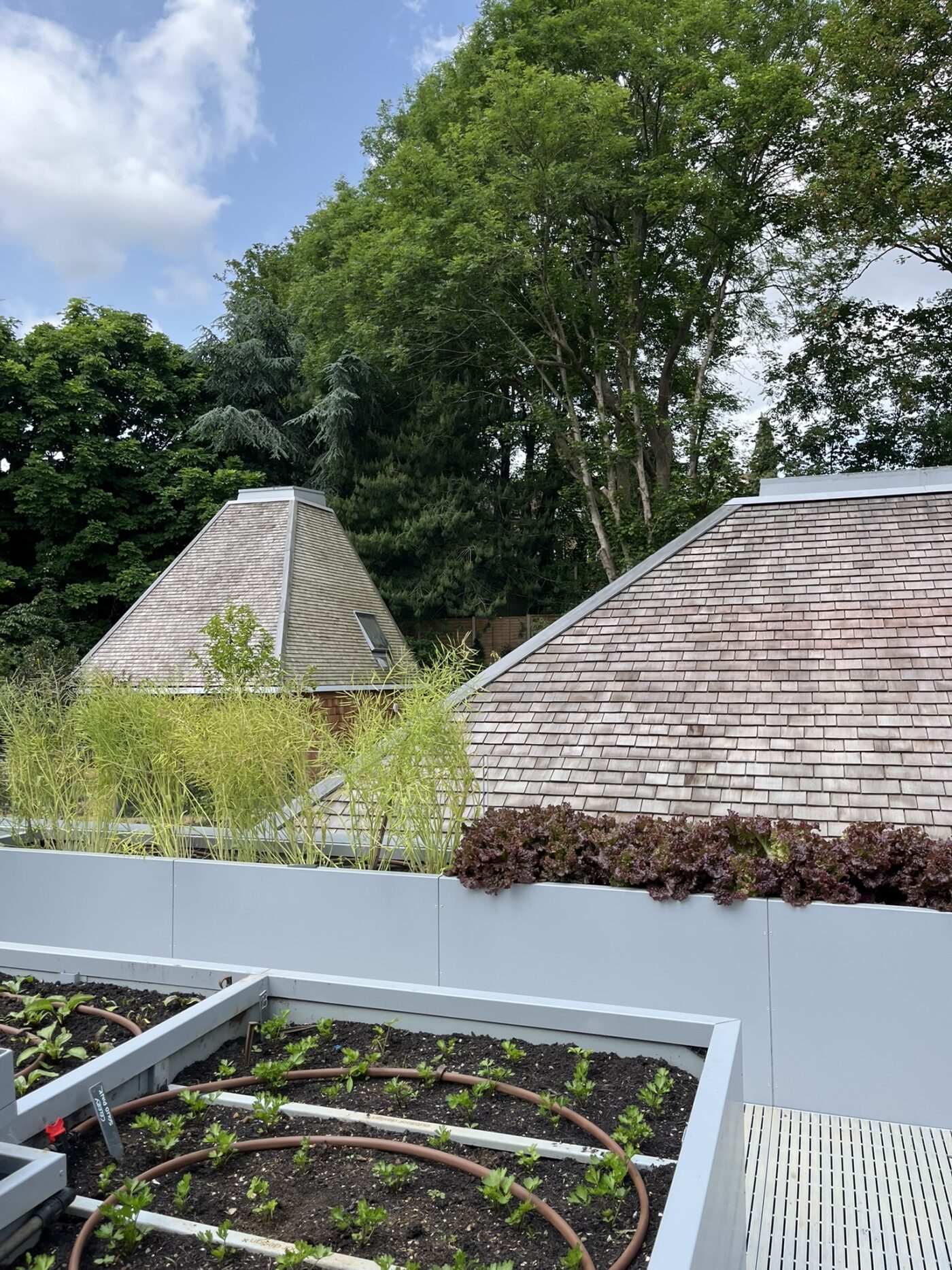 MSA Omved Gardens 16 JPEG